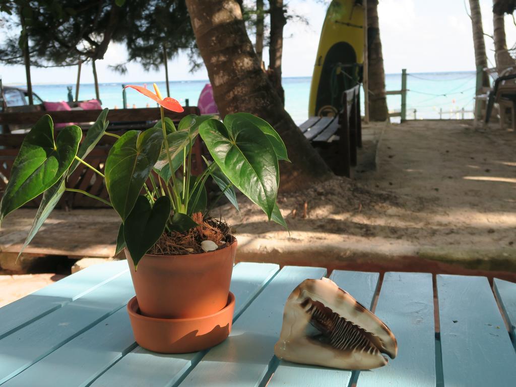 Eco Hotel Club Rolling Stone Boca Chica Exterior foto